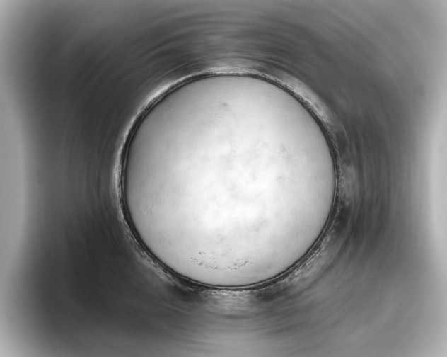 X0000096640856200802051126