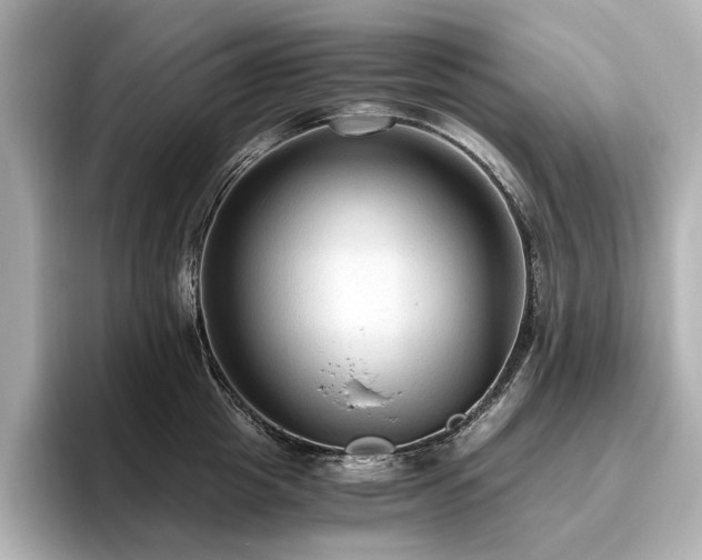X0000096640857200802051126