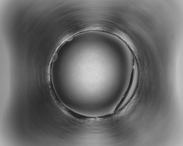 X0000096640858200802051126