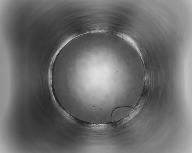 X0000096640859200802051126