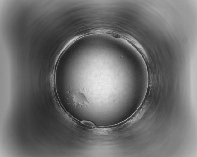 X0000096640860200802051126