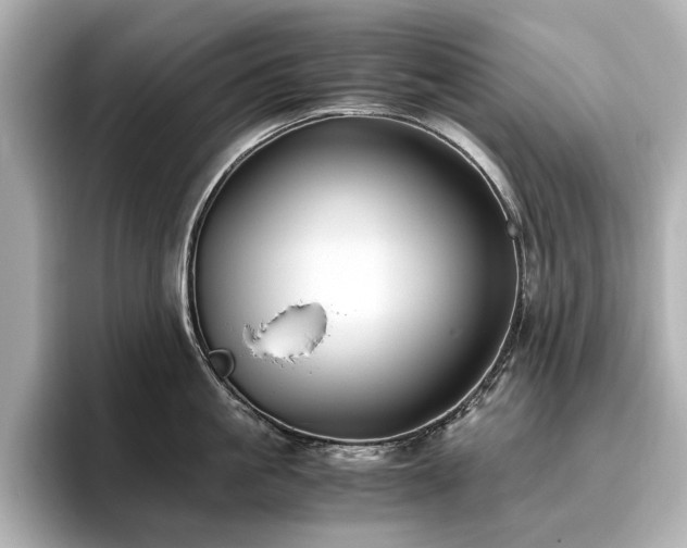 X0000096640861200802051127