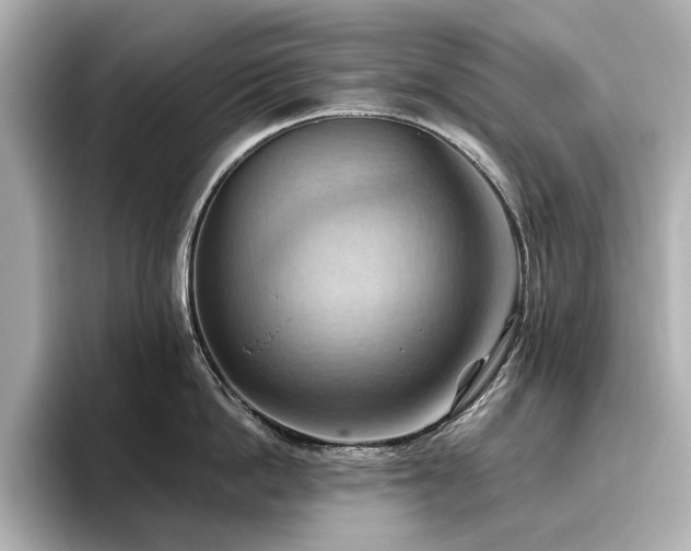 X0000096640862200802051127