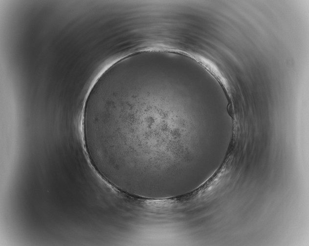 X0000096640863200802051127