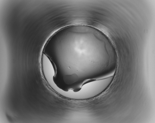 X0000096640864200802051127