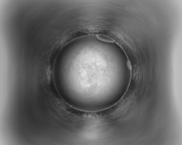 X0000096640866200802051126