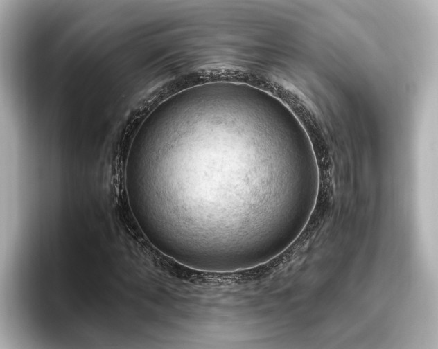 X0000096640870200802051126
