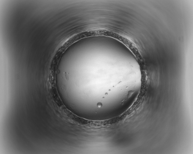 X0000096640871200802051126