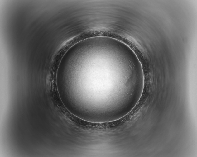 X0000096640872200802051126