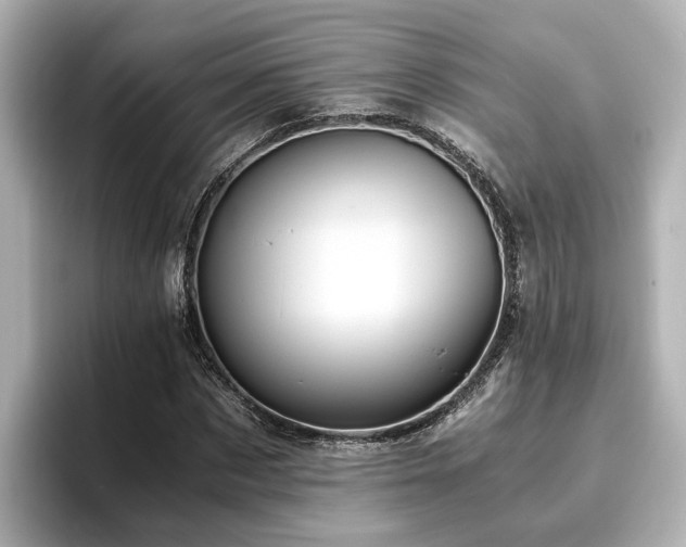 X0000096640873200802051126