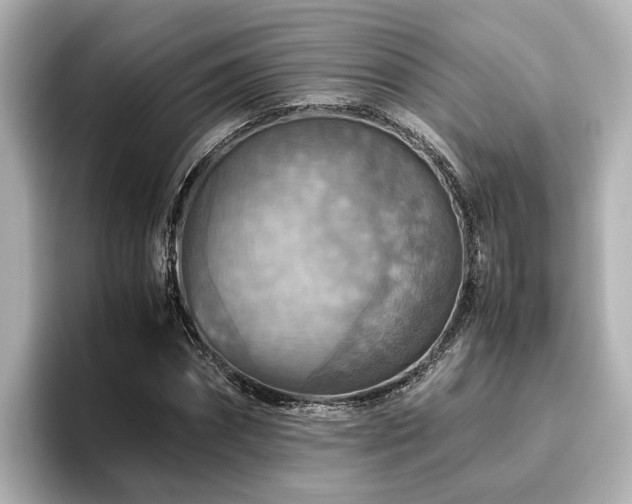 X0000096640874200802051126