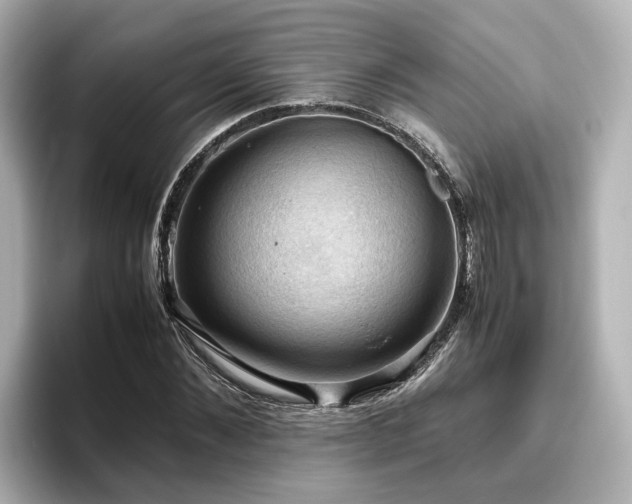 X0000096640876200802051126