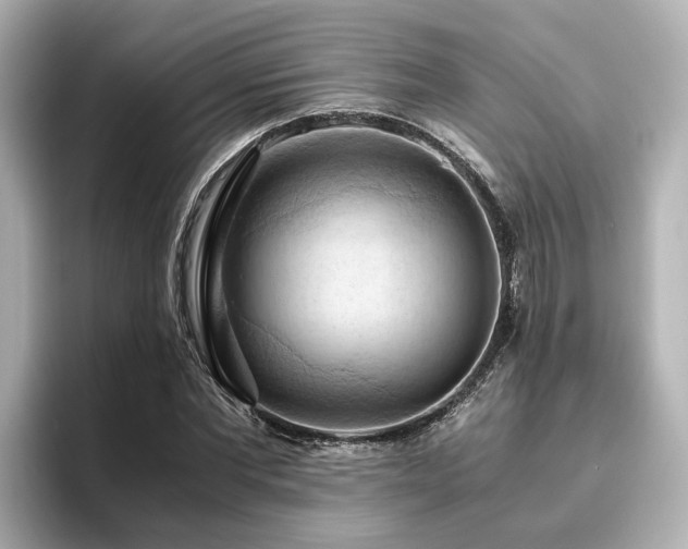 X0000096640877200802051126
