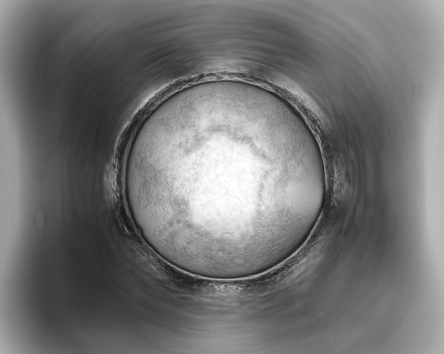 X0000096640878200802051126