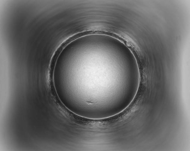 X0000096640880200802051126