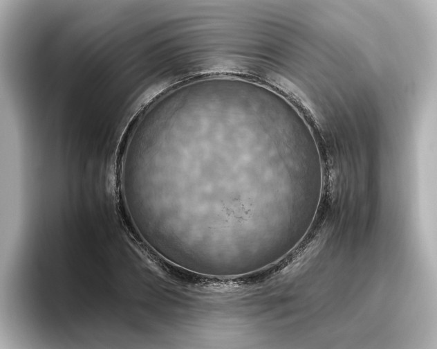 X0000096640882200802051126