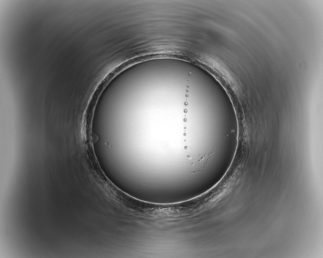 X0000096640883200802051126