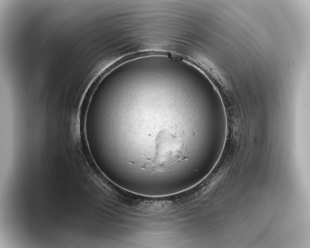 X0000096640884200802051126