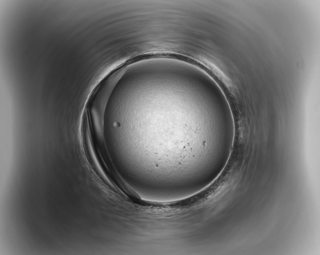 X0000096640885200802051126