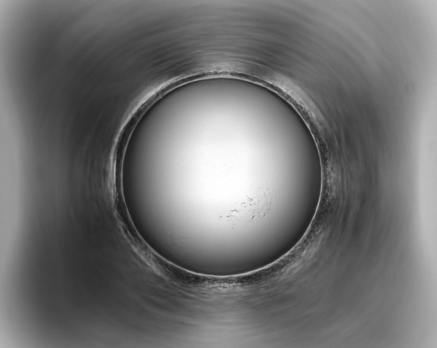 X0000096640886200802051126