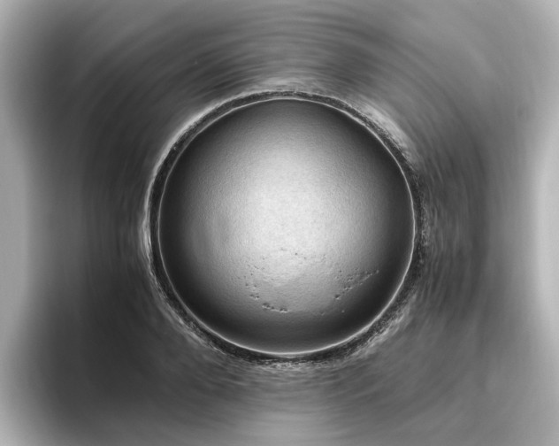 X0000096640888200802051126