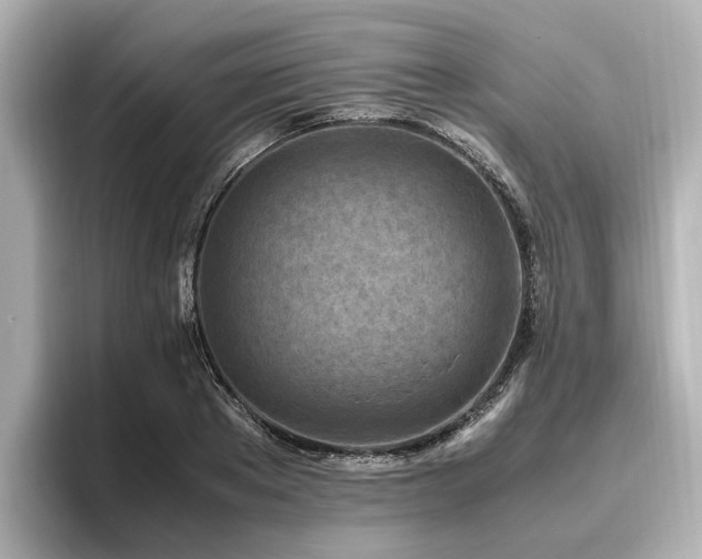 X0000096640889200802051126