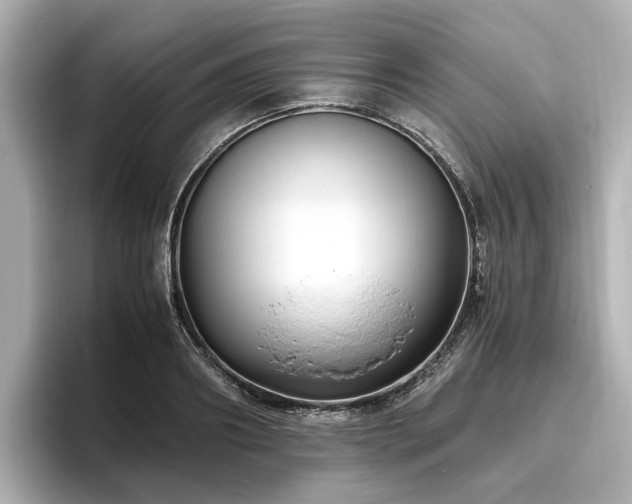 X0000096640890200802051126