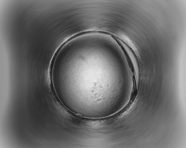 X0000096640892200802051126