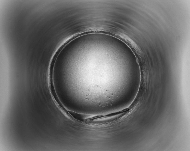 X0000096640894200802051126