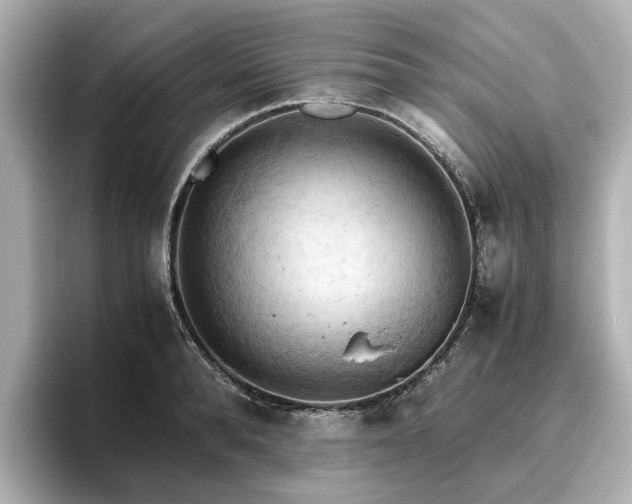 X0000096640896200802051126