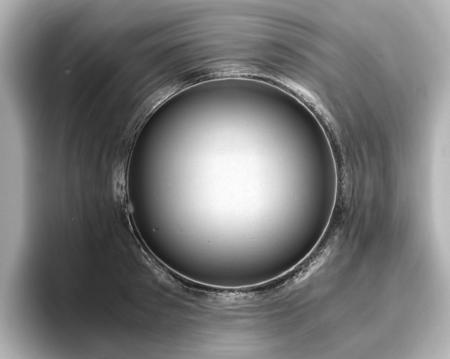 X0000096640897200802051125