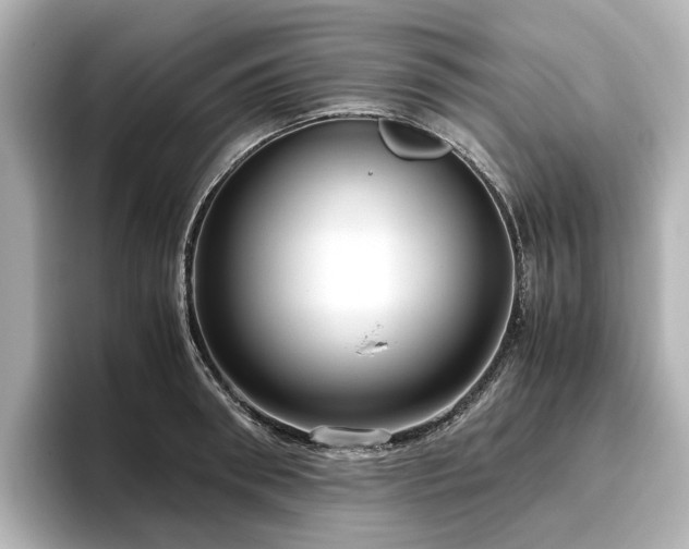 X0000096640898200802051125