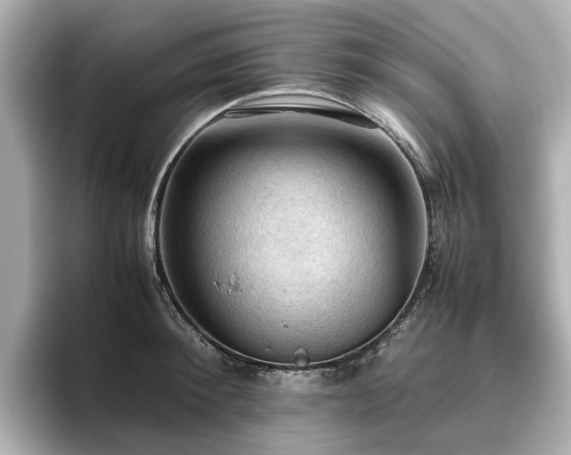 X0000096640900200802051125