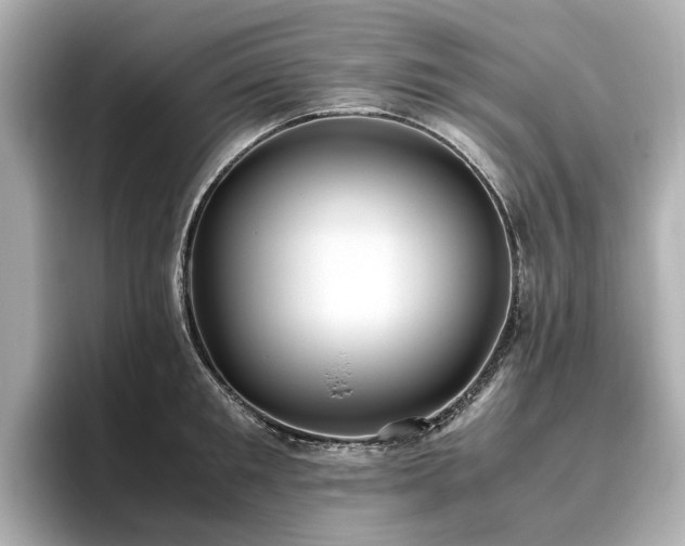 X0000096640901200802051125