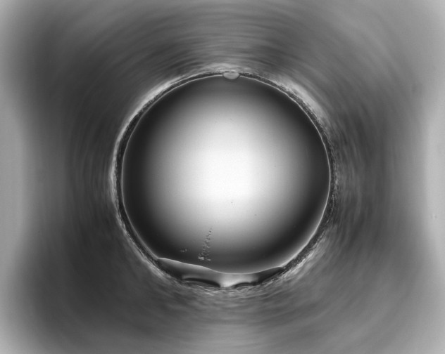 X0000096640902200802051125