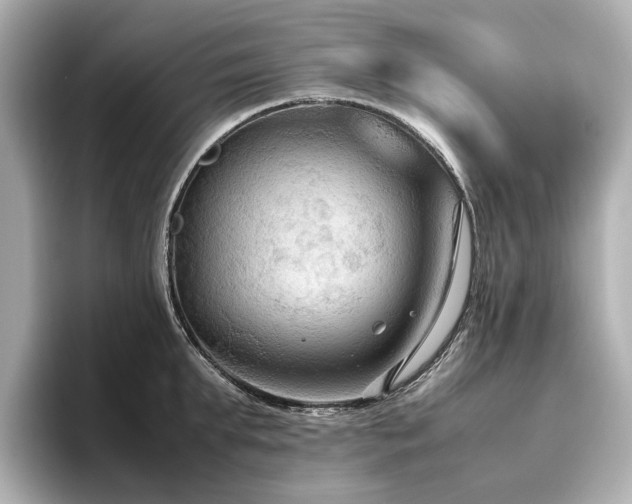 X0000096640903200802051125