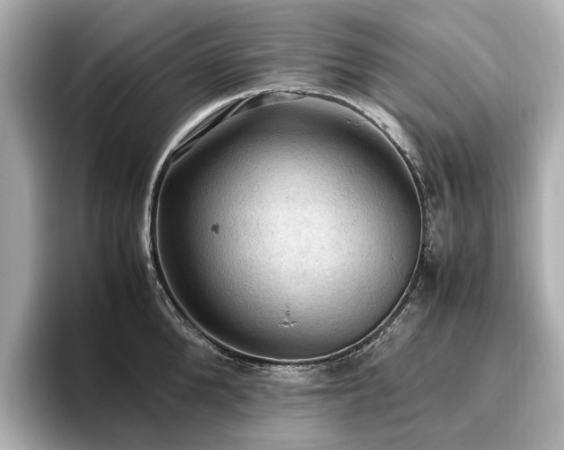 X0000096640904200802051125