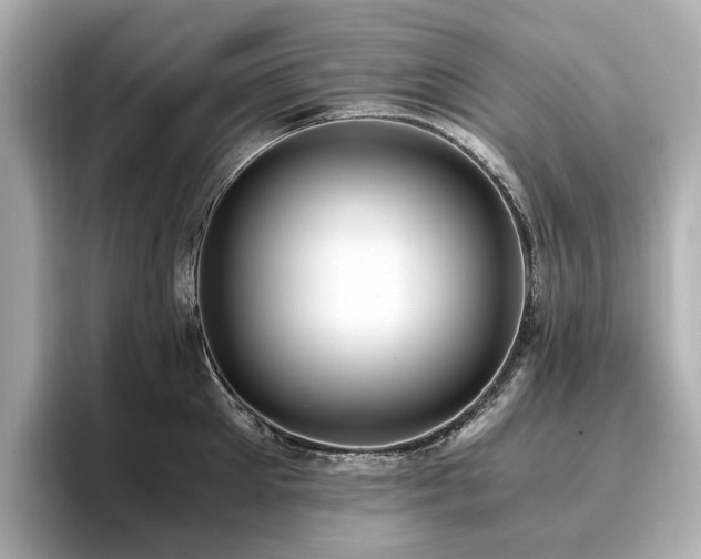 X0000096640905200802051125