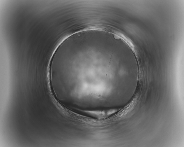X0000096640907200802051125