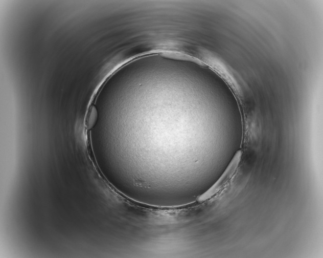 X0000096640908200802051125