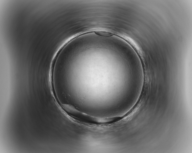 X0000096640910200802051125