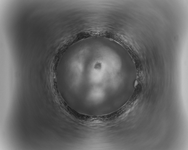 X0000096640913200802051125