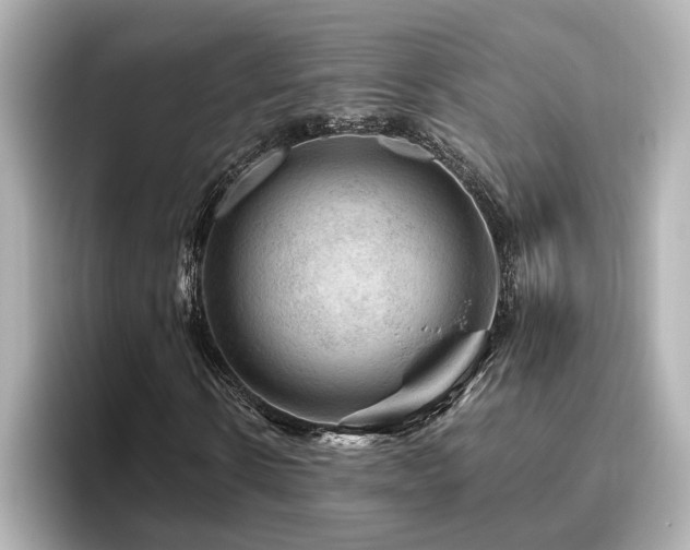 X0000096640914200802051125