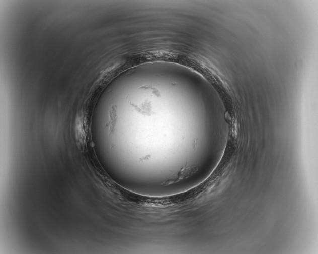 X0000096640915200802051125