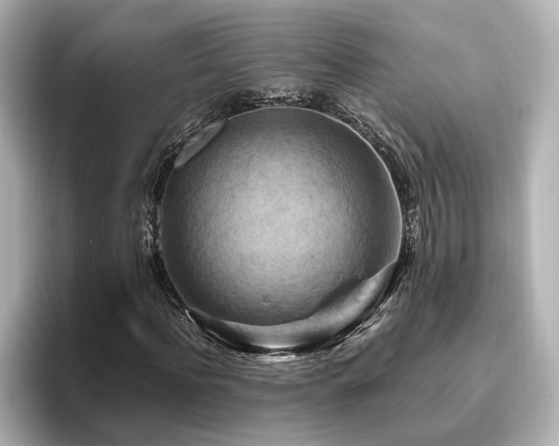 X0000096640916200802051125