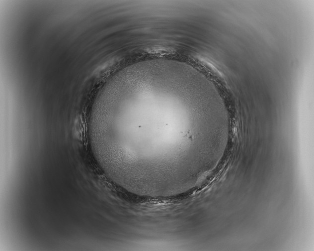X0000096640917200802051125