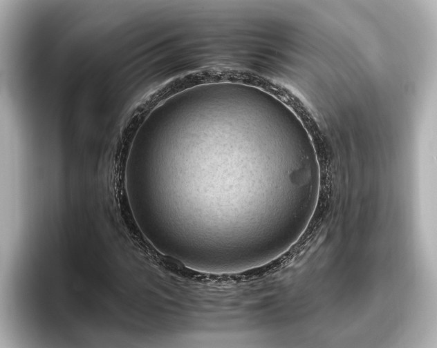 X0000096640919200802051125