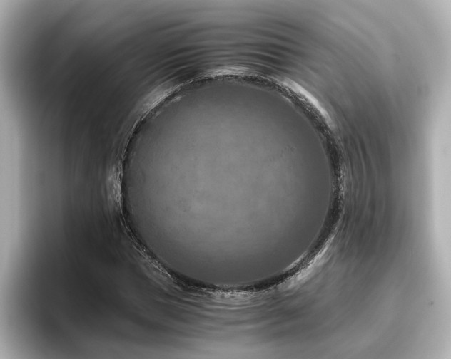 X0000096640921200802051125