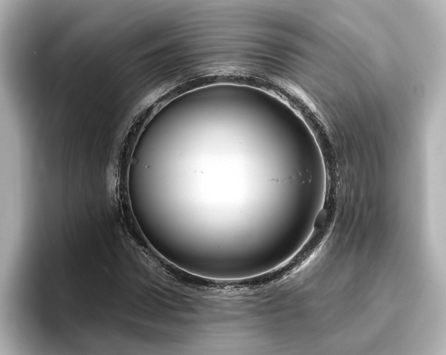 X0000096640922200802051125