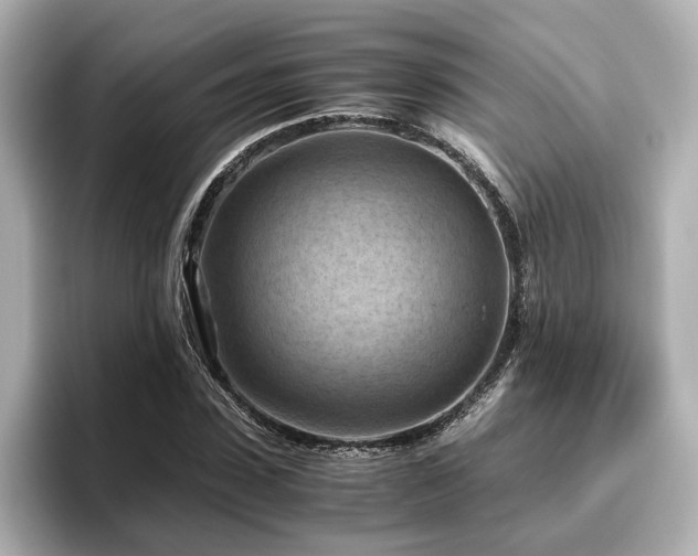 X0000096640923200802051125